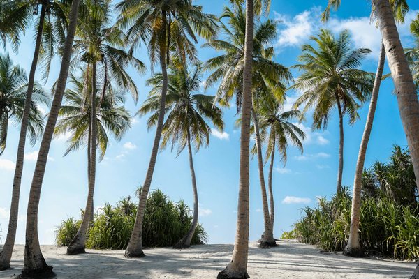 Welche MaÃŸnahmen fÃ¶rdern den Schutz von Kulturerbe im De-Tourismus?